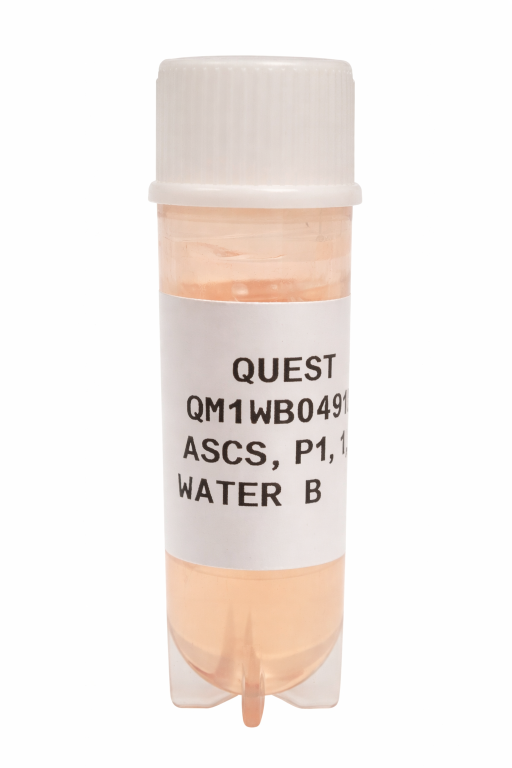 Quest Water Buffalo Primary Cell Lines - Adipose