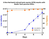 Roslin Porcine iPSC (Induced Pluripotent Stem Cells)