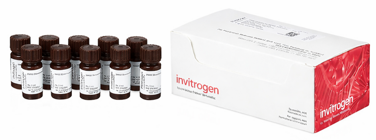 Invitrogen™ DMSO、無水