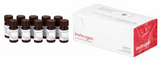 Invitrogen™ DMSO、無水
