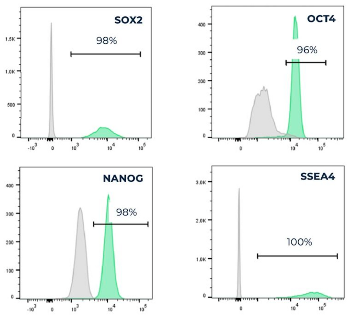 Roslin Bovine ESCs (Embryo-Derived Stem Cells)