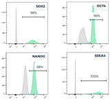 Roslin Bovine ESCs (Embryo-Derived Stem Cells)