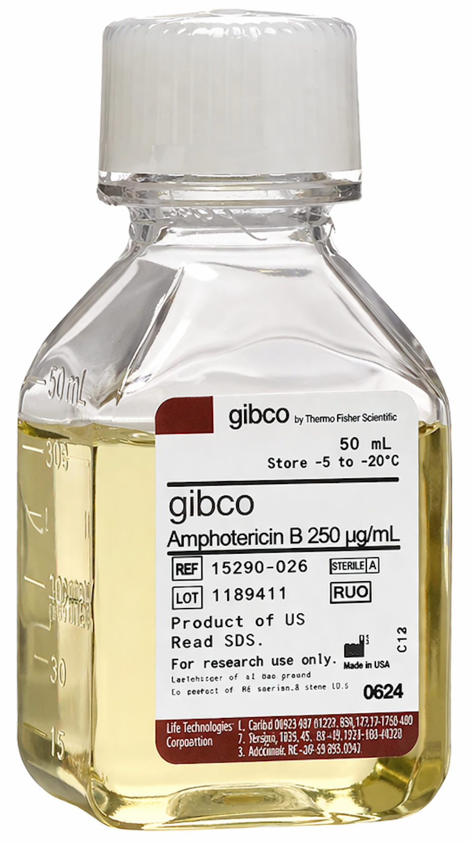 Gibco™ Amphotericin B