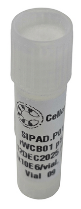 Cellcraft Spontaneously Immortalised Porcine Preadipocyte Cells