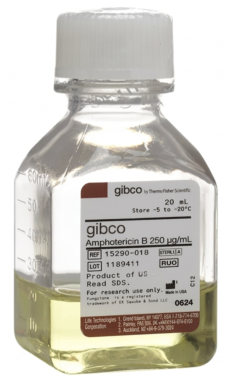 Gibco™ Amphotericin B