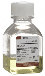 Gibco™ Amphotericin B