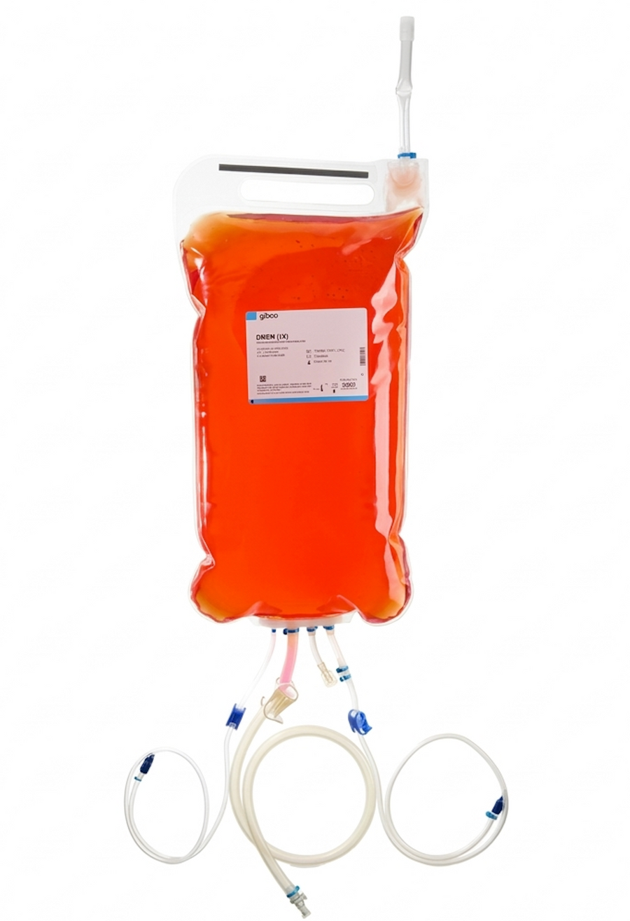 Gibco™ DMEM, high glucose – Cellbase