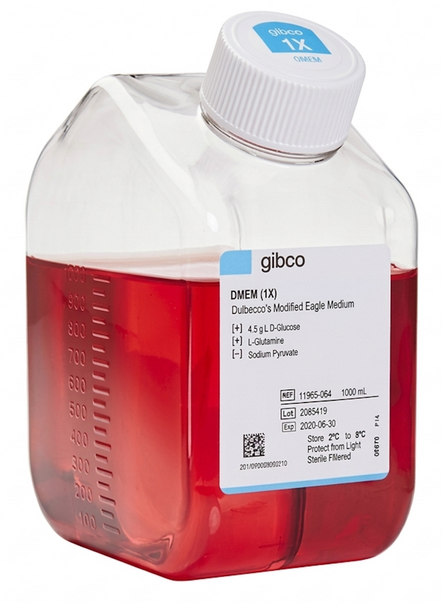 Gibco™ DMEM, high glucose – Cellbase