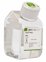 אנזים Gibco™ TrypLE™ Select (1X), ללא פנול אדום