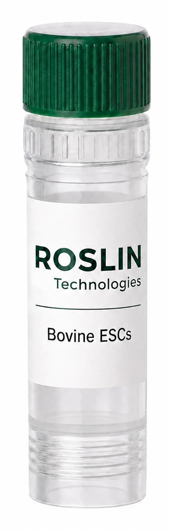 Roslin 牛胚胎干细胞 (胚胎来源干细胞)
