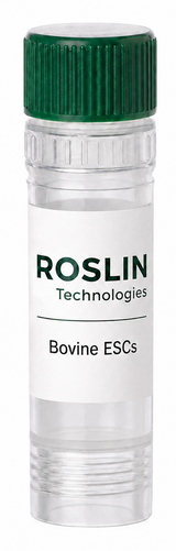 Roslin 牛胚胎干细胞 (胚胎来源干细胞)