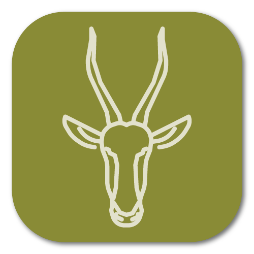 <tc>WildBio</tc> 羚羊成纤维细胞系 – 皮肤