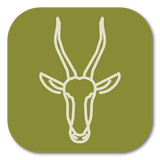 <tc>WildBio</tc> 羚羊成纤维细胞系 – 皮肤