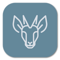 <tc>WildBio</tc> Línea Celular de Pre-Adipocitos de Duiker – Grasa