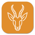 <tc>WildBio</tc> Línea Celular de Fibroblastos de Springbok – Piel
