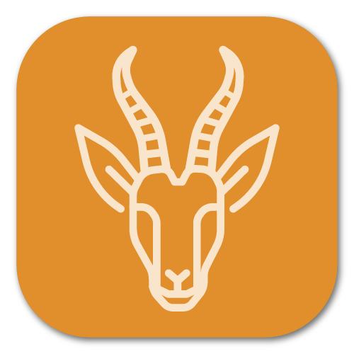 <tc>WildBio</tc> Springbok 肌母细胞系 – 肌肉