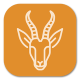 <tc>WildBio</tc> Springbok 肌母细胞系 – 肌肉