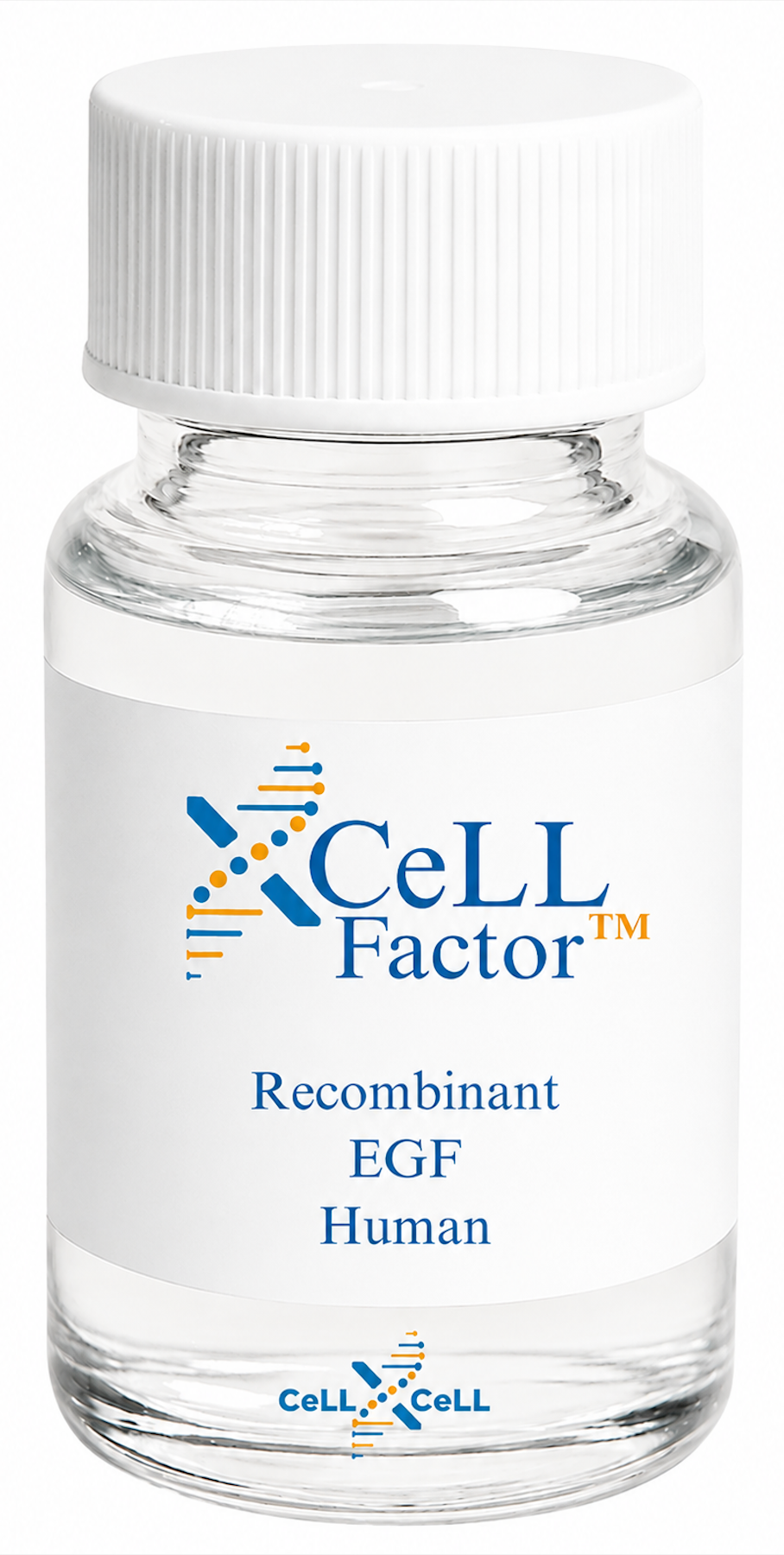 <tc>XCeLL</tc> فاكتور™ EGF