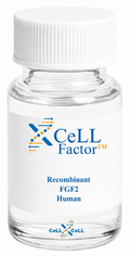 <tc>XCeLL</tc> Factor™ Recombinant FGF2 Mens