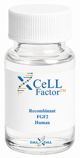 <tc>XCeLL</tc> Factor™ FGF2