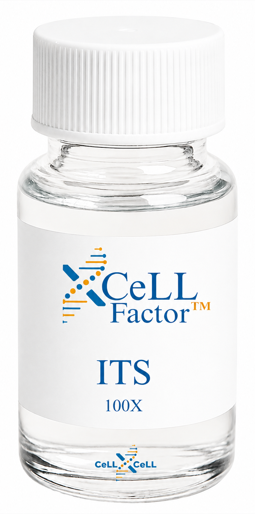 <tc>XCeLL</tc> ITS Media™