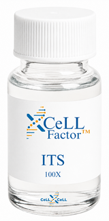 <tc>XCeLL</tc> ITS Media™