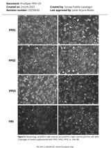 Multus Proliferum® P