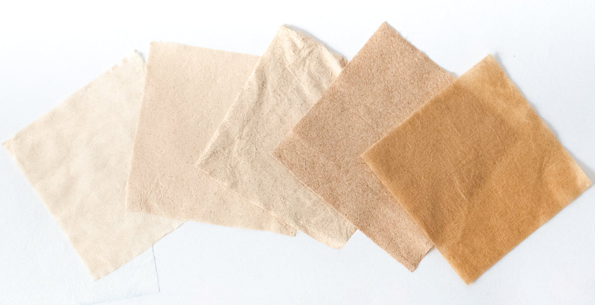 Gelatex Muskel Scaffold Starting Kit