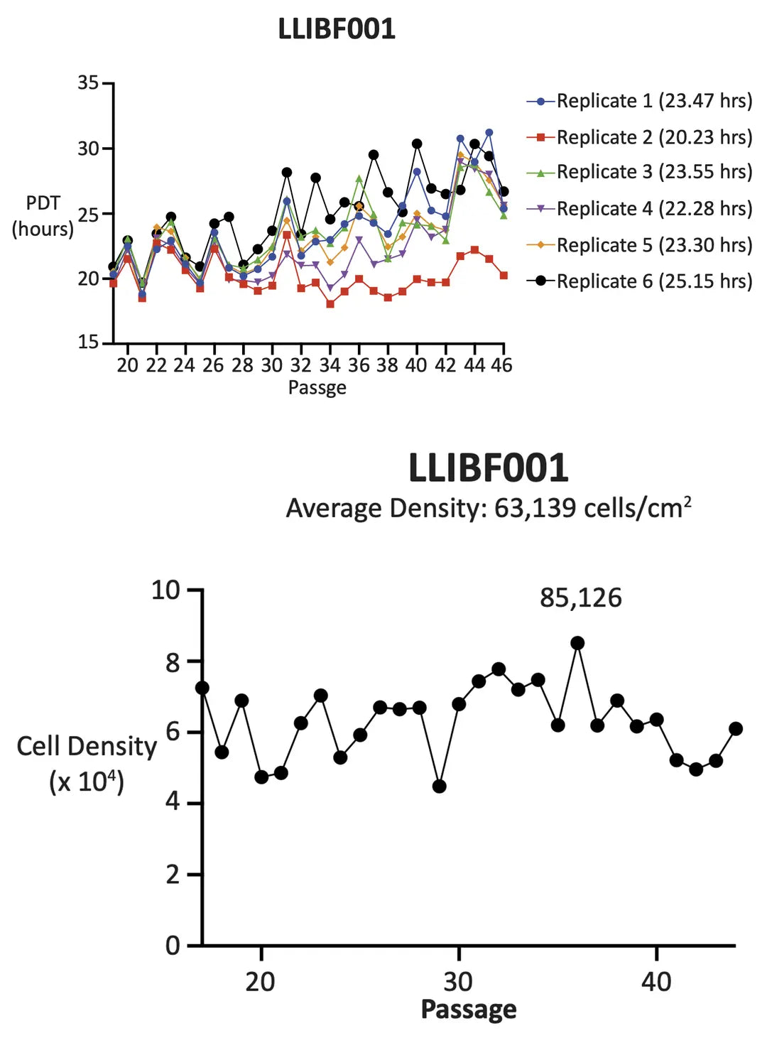 <tc>Livestock Labs</tc> Rinderfibroblasten