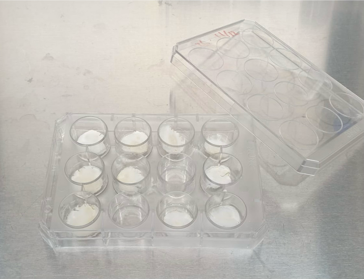 MyoWorks MyoScaff 2D Scaffold