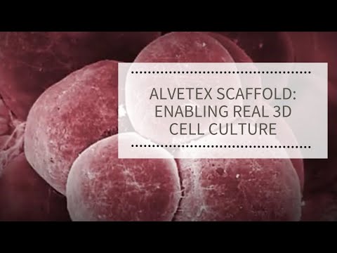 Alvetex® アドバンスト シングルウェルプレート