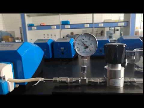 Longer G100-2J Industrial Peristaltic Pump