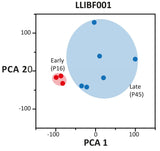 <tc>Livestock Labs</tc> Rinderfibroblasten